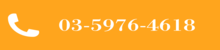 03-5979-4618